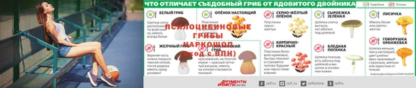 метадон Аркадак