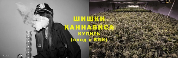 spice Арсеньев